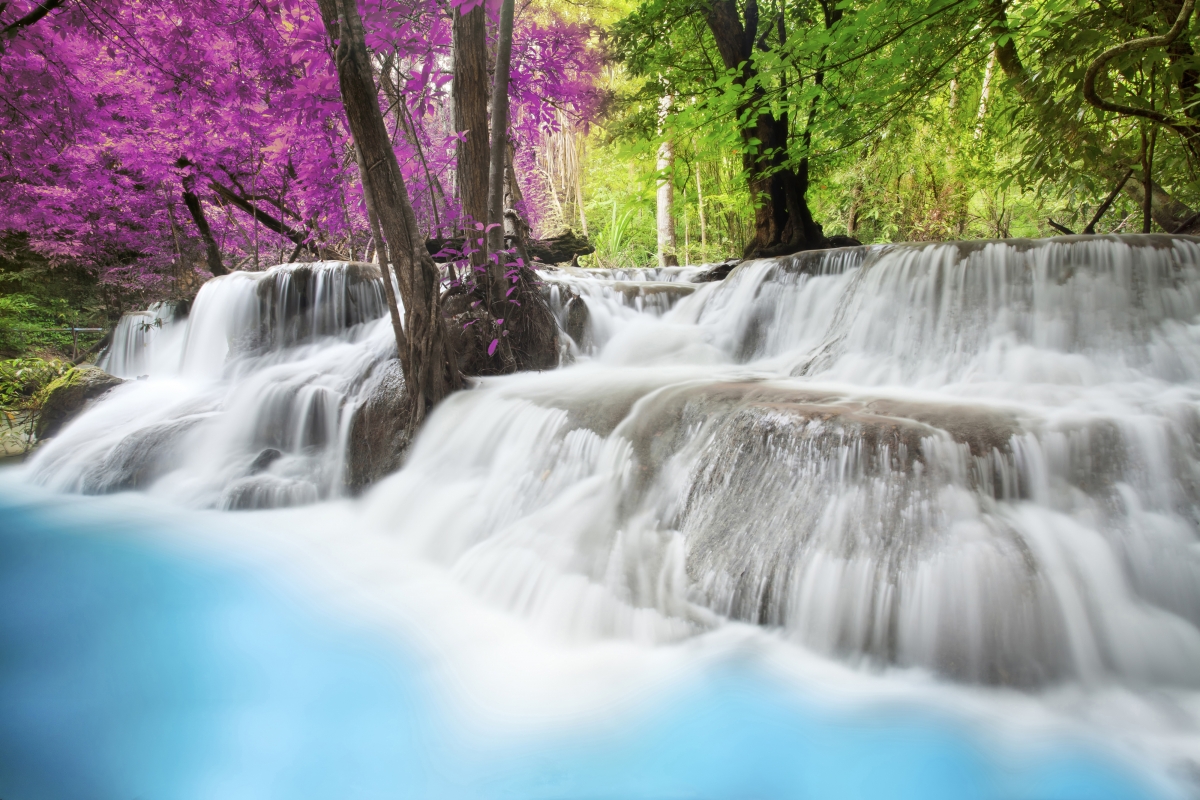 Waterfall colorful leaves water trees