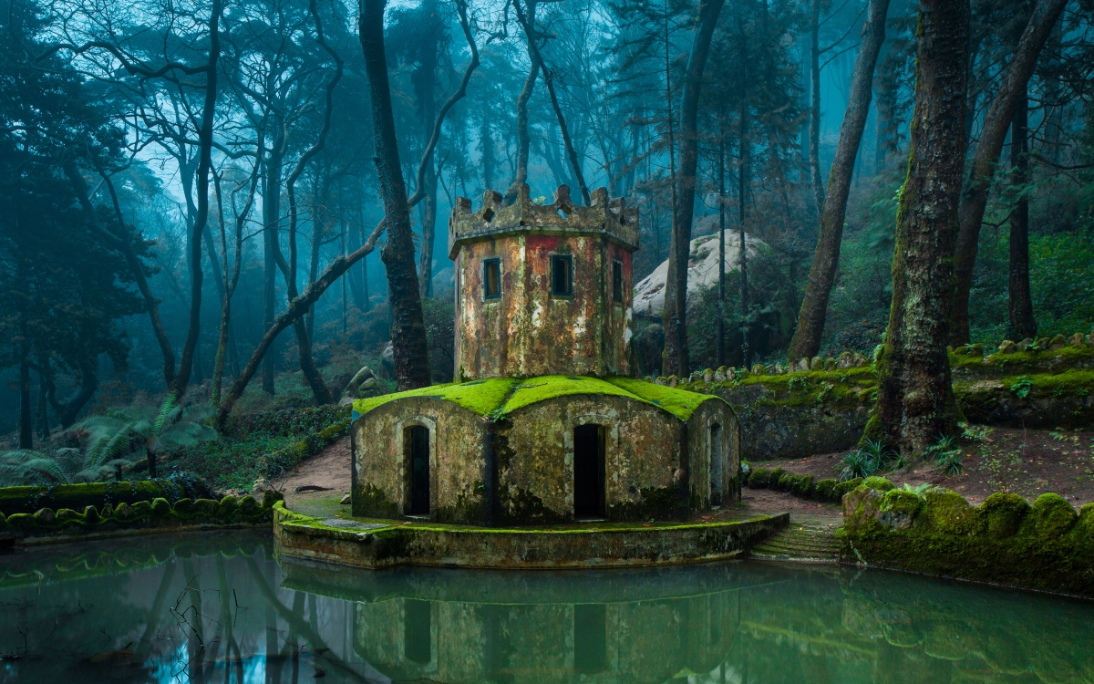 Portuguese tree moss castle