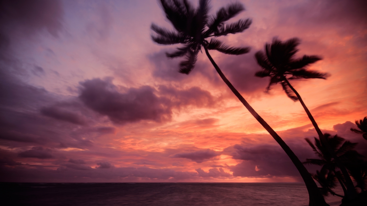 Punta Cana Beach 4k Landscape Wallpaper