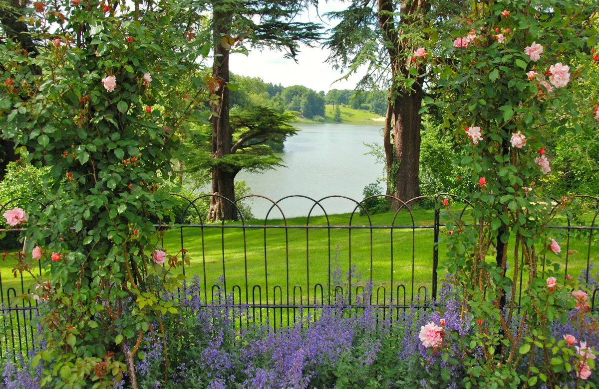 Oxfordshire Garden Tree Roses