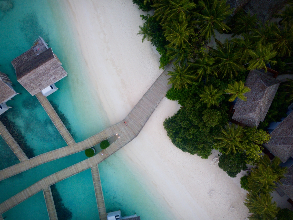 Aerial view seaside island forest