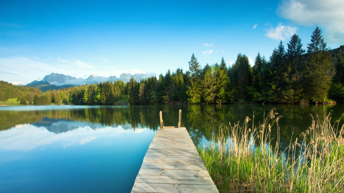 Beautiful forest lake landscape reflection 4k