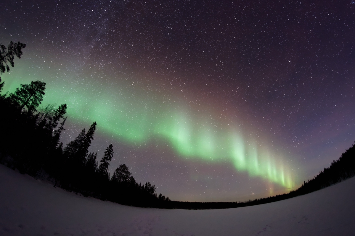 Beautiful night starry sky scenery 6K wall