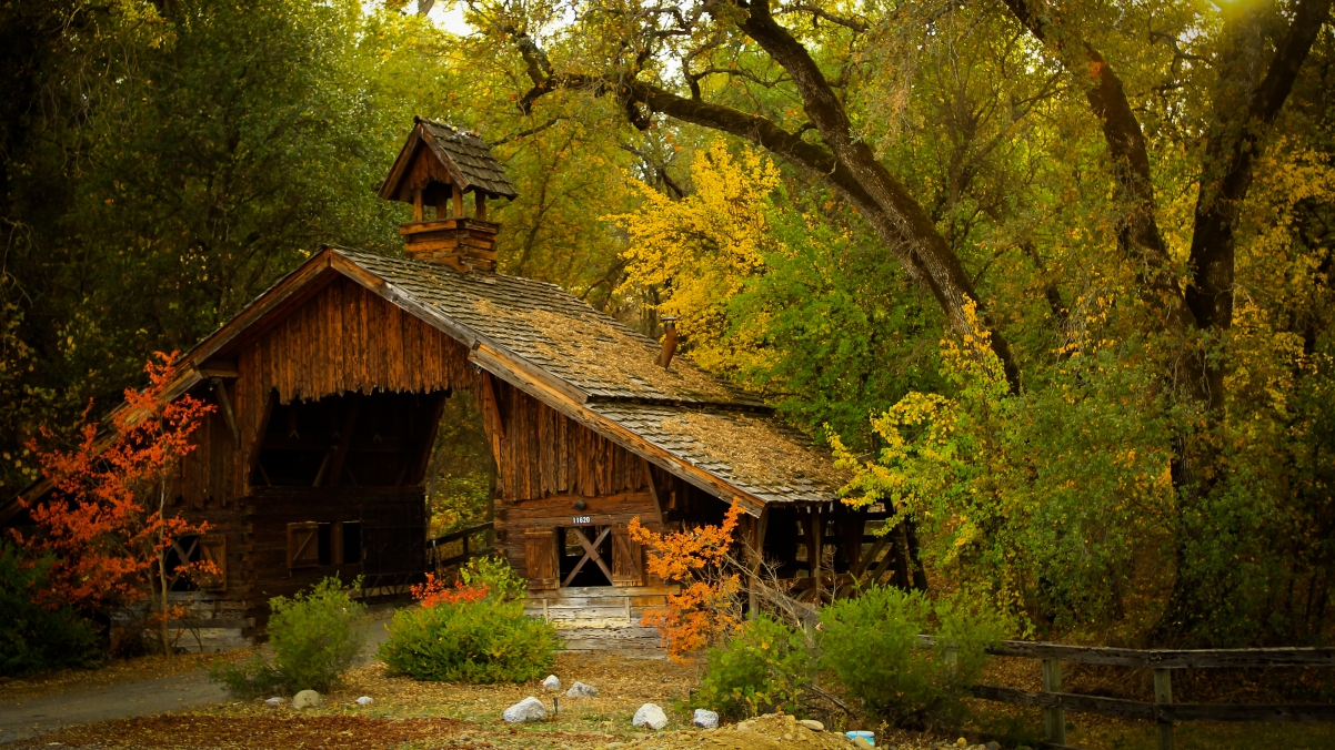 Beautiful Autumn Scenery 4K Wallpaper