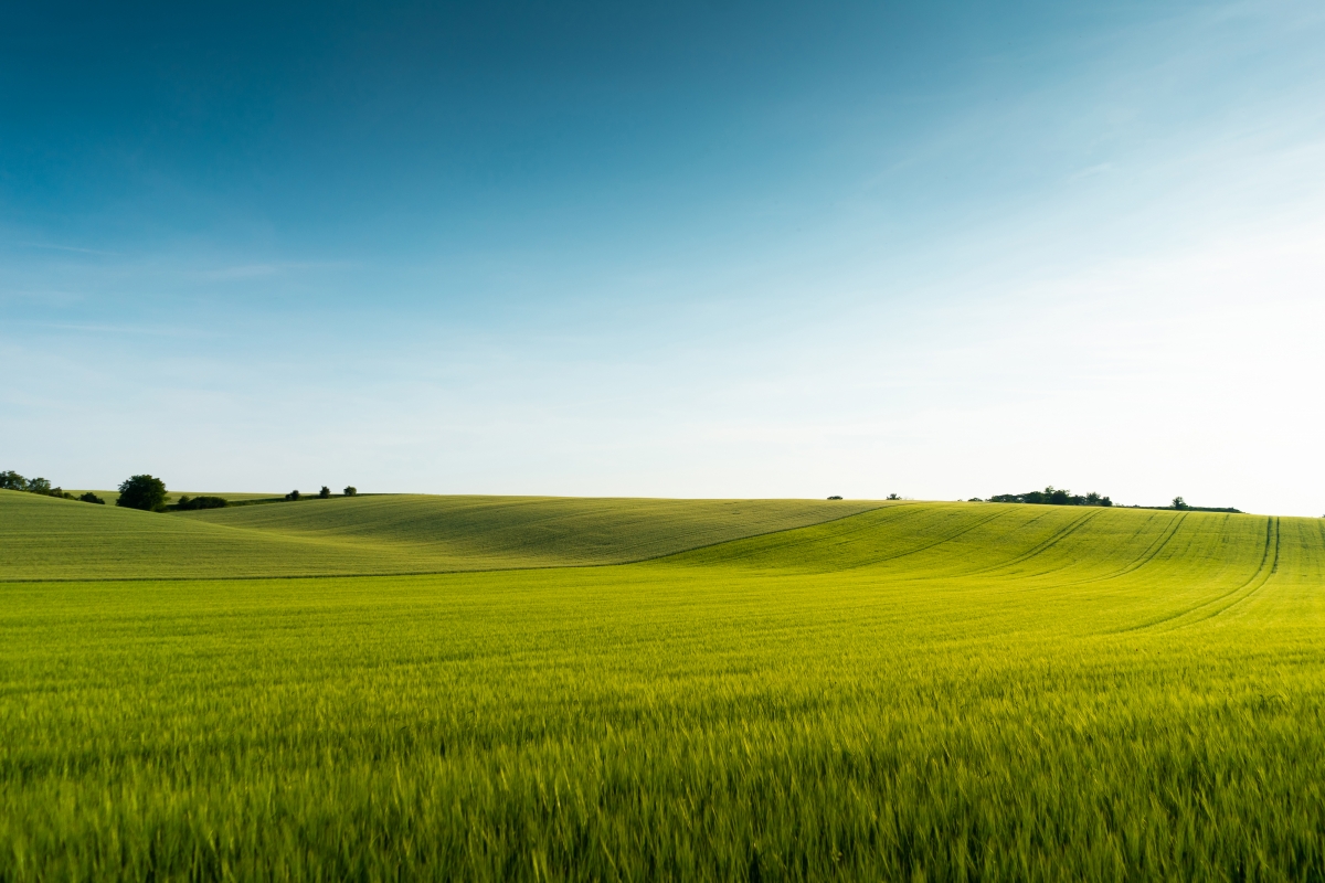 Beautiful green scenery 4k high scenery