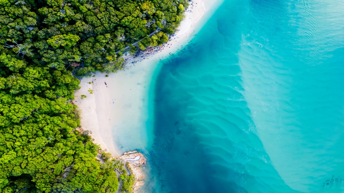 Beautiful ocean scenery seaside green