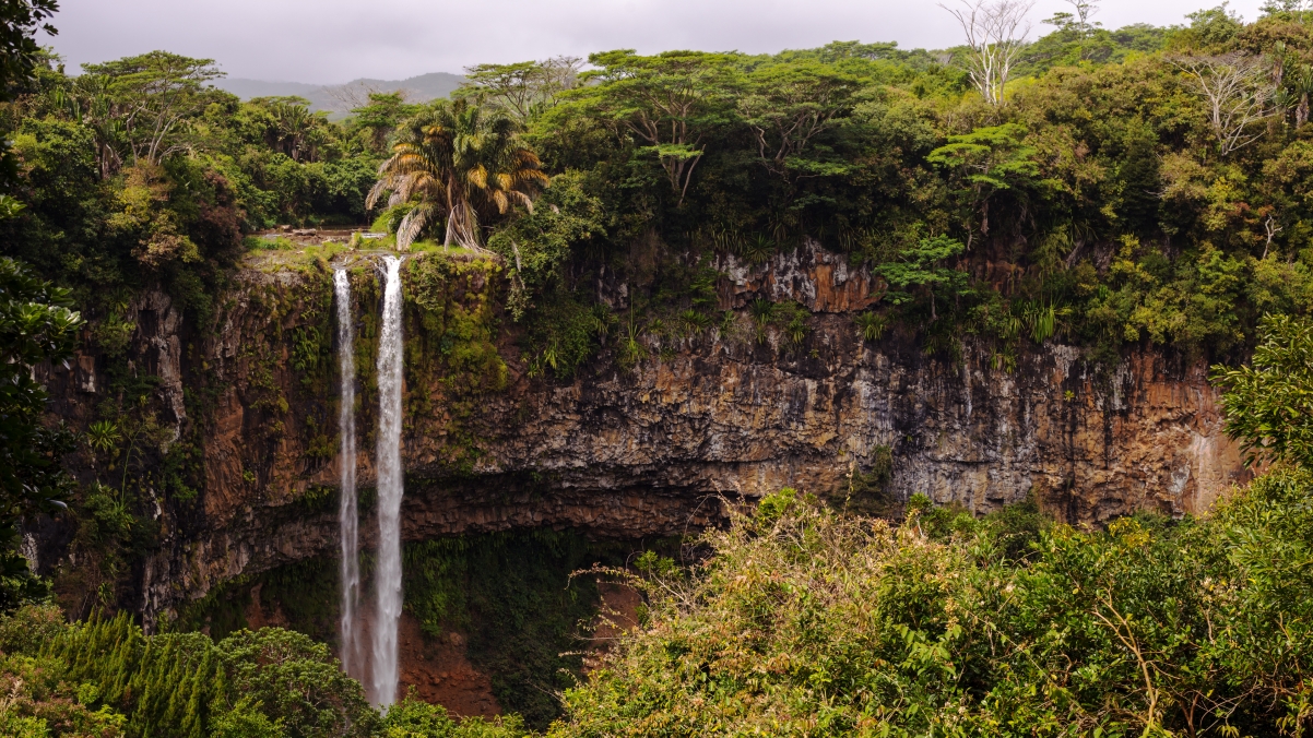 Mauritius, trees, cliff, jungle