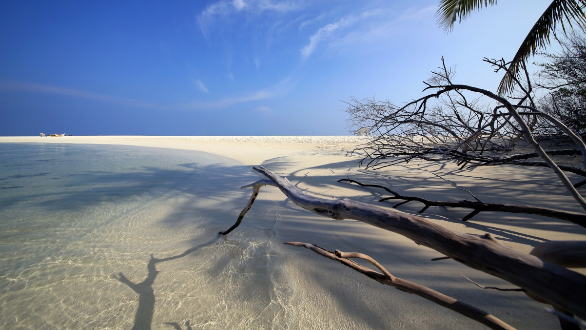 Embudu Beach 4K Wind in Maldives
