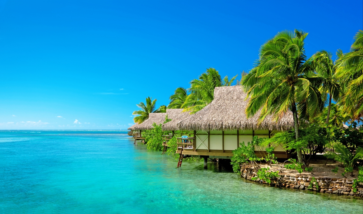 Maldives, sea, sky, palm