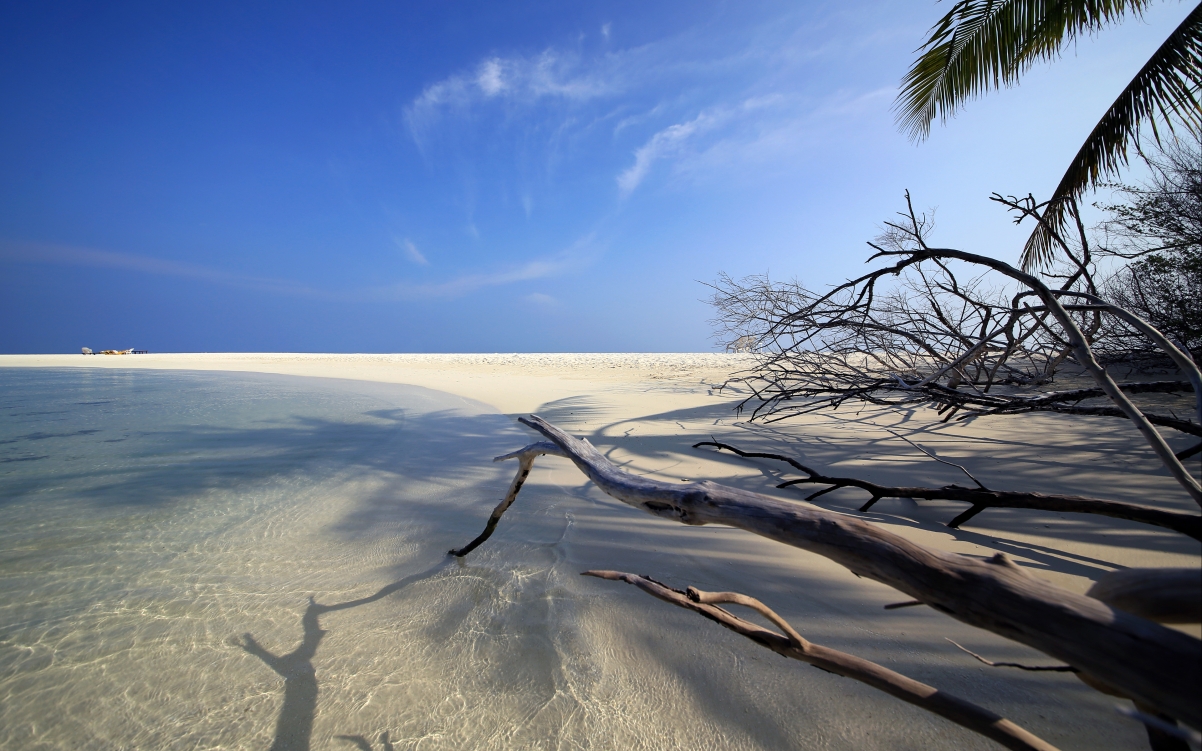 Maldives beach blue sky 4K wind