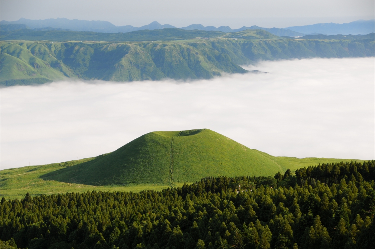 The cloud bear of Taro Aso Yonezuka