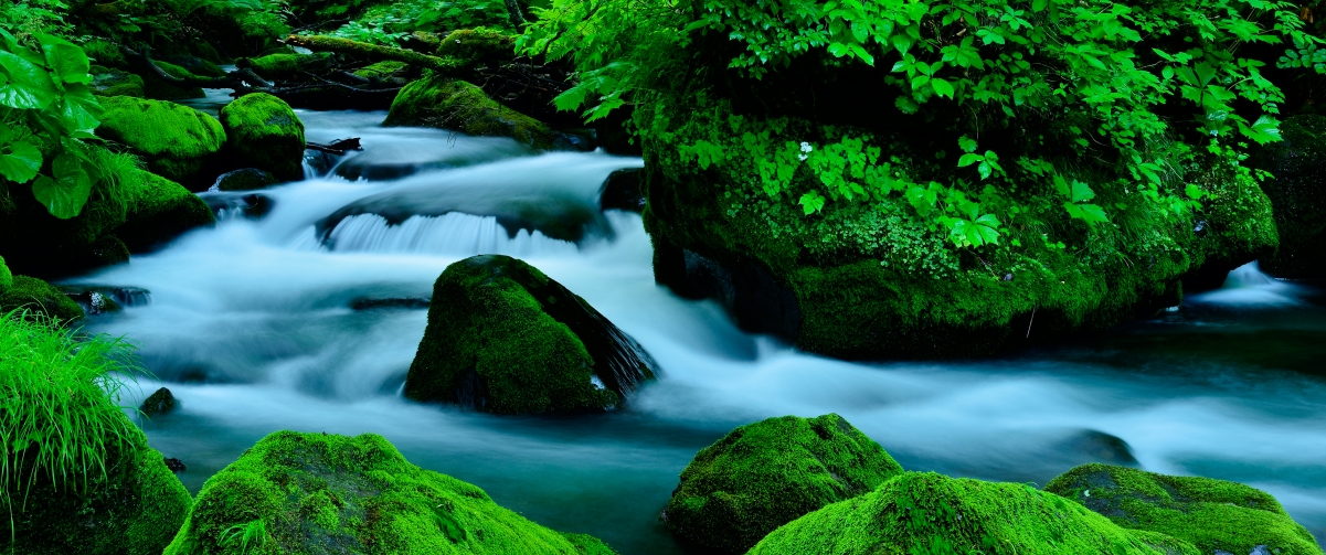 Green canyon 3440x1440 landscape wall