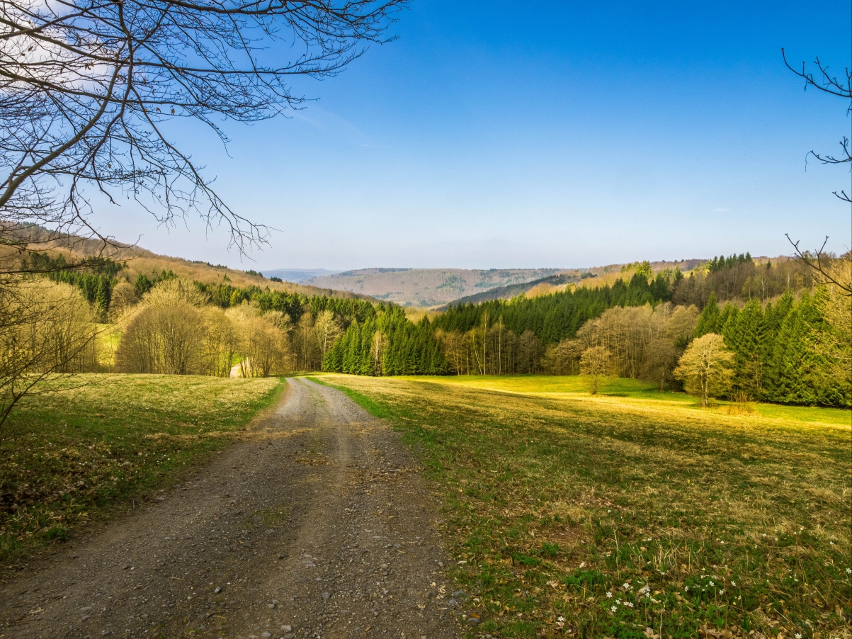 Green farm 4k landscape picture