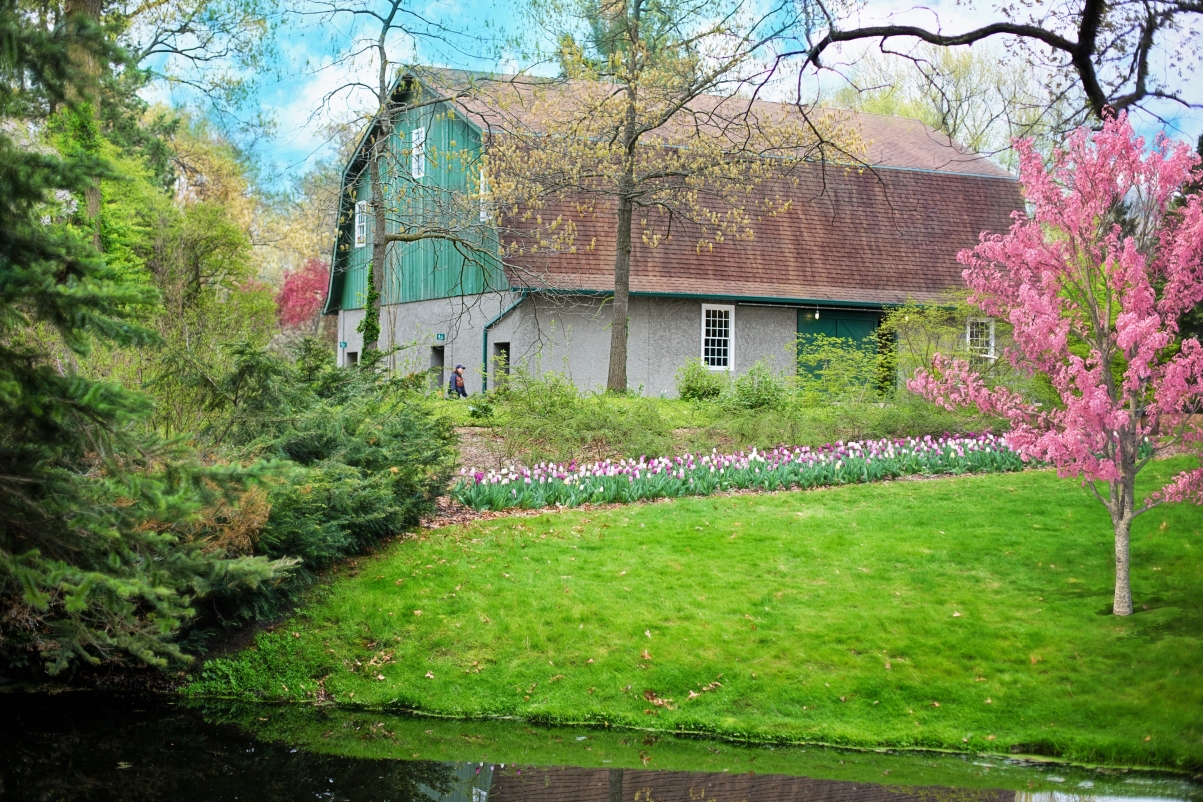 Green barn spring farm nature