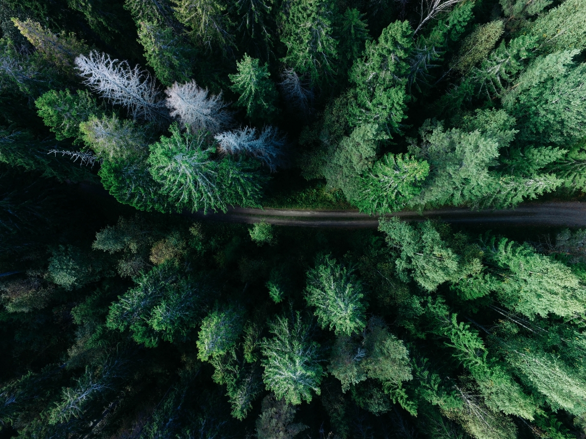Lulin Road Overlook Photography 4K Landscape