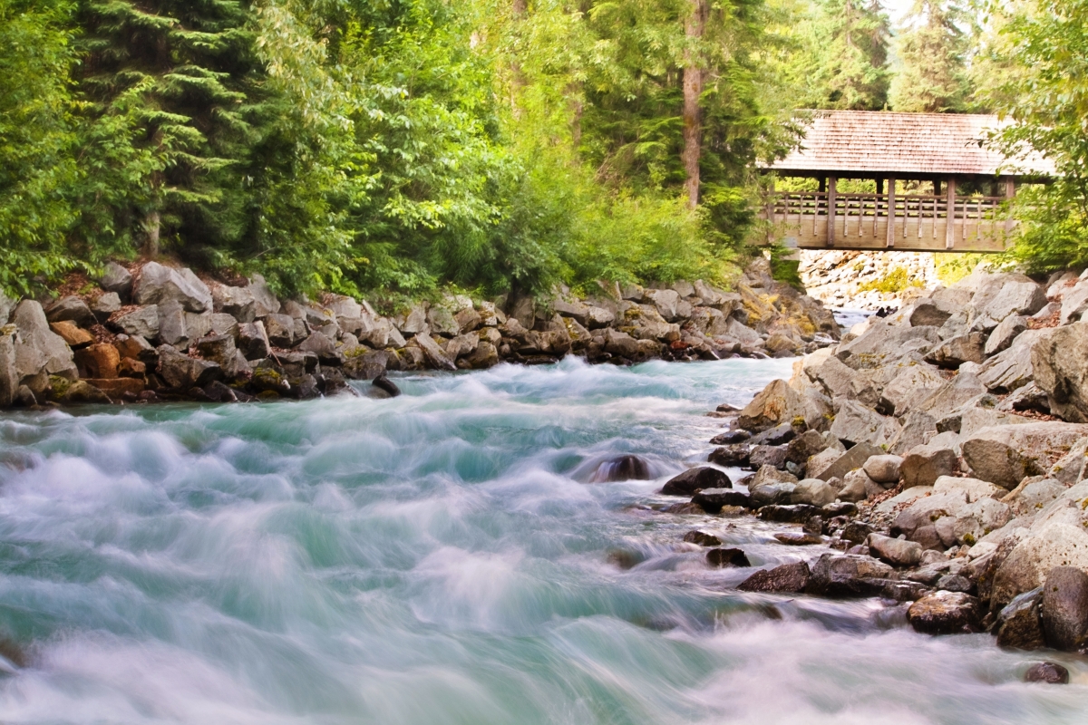 Flowing stream, natural park, summer