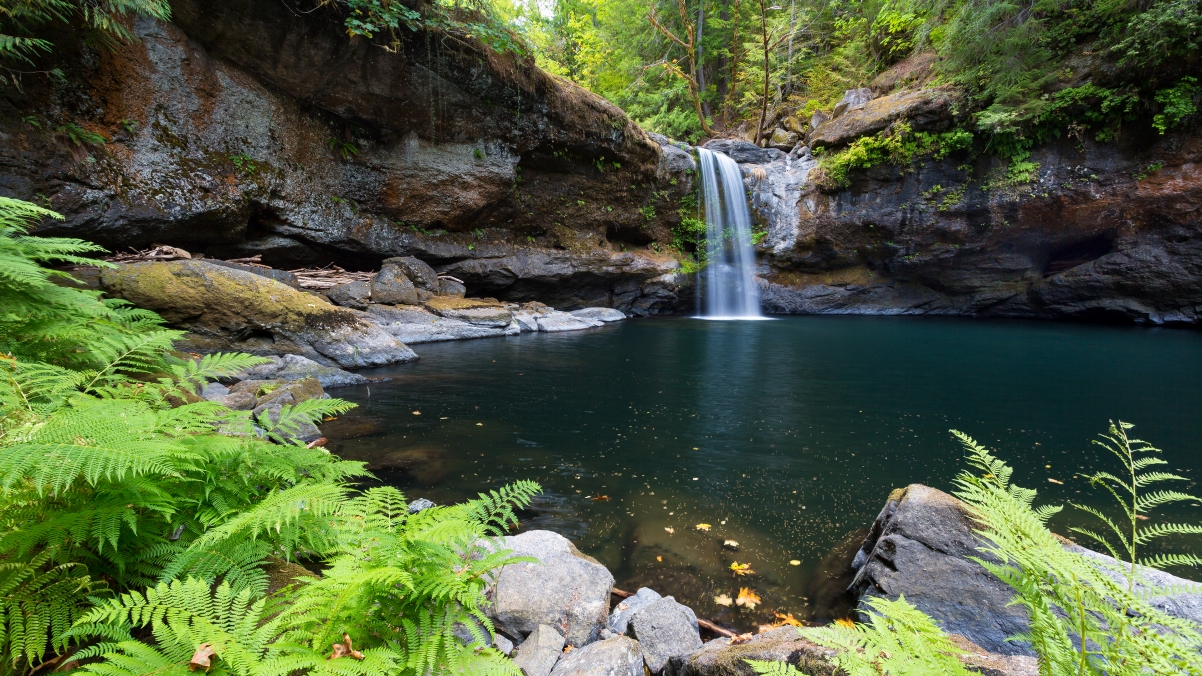 Forest waterfall scenery 4k wallpaper