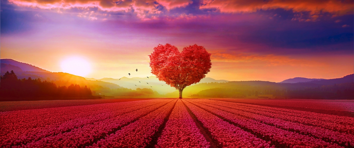 Romantic heart tree 3440x1440 wind
