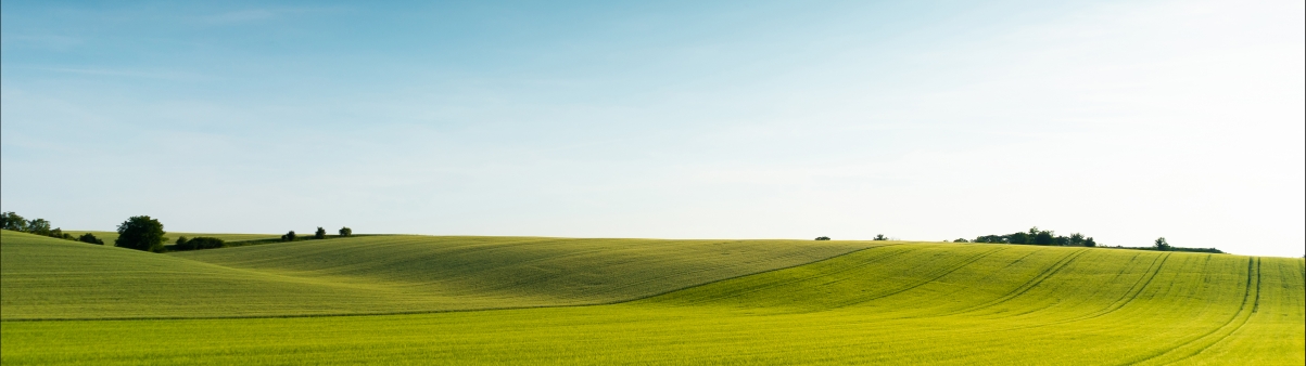 Blue sky and green grass 5120x1440 landscape