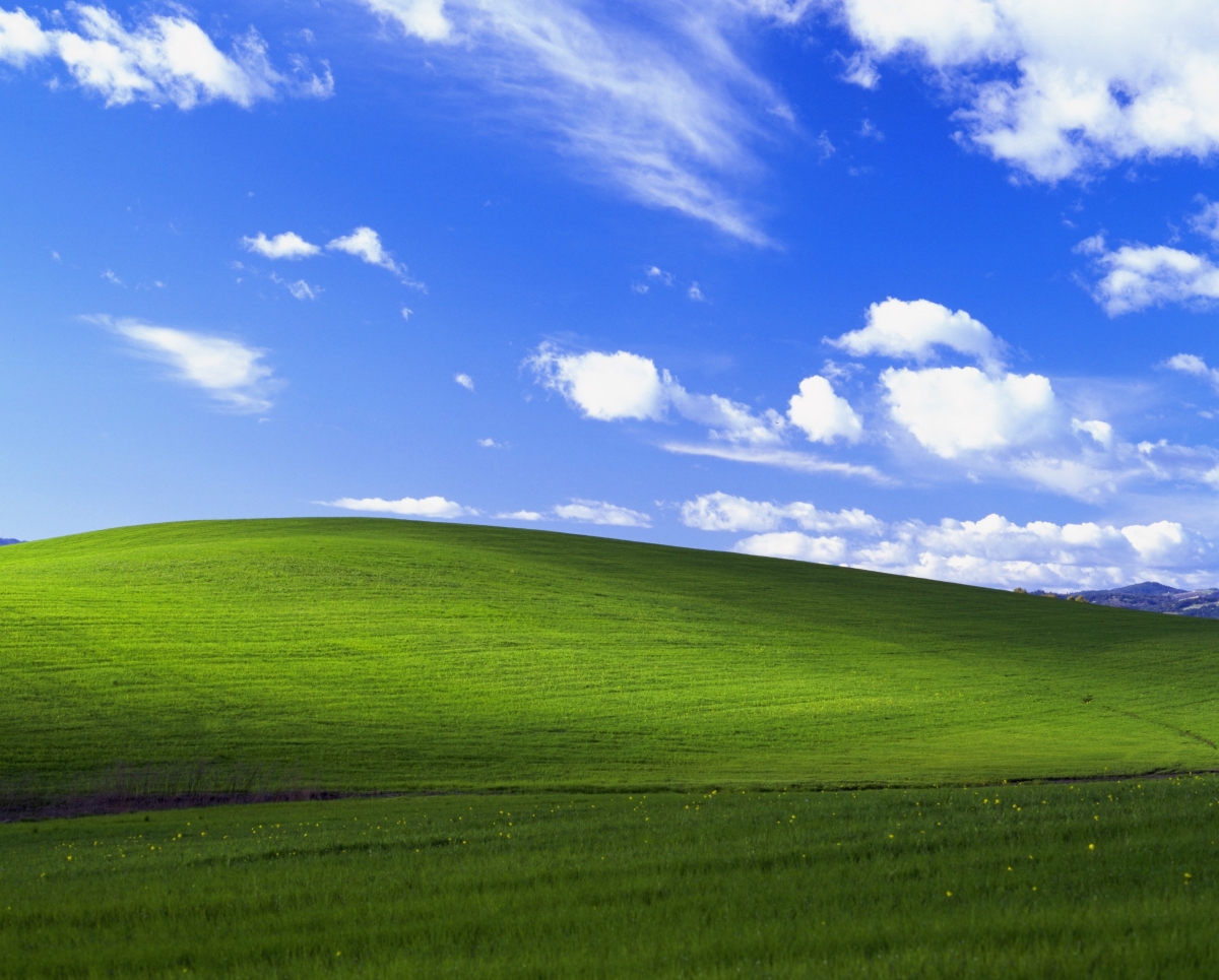 Tranquil image of green grass with blue sky and white clouds