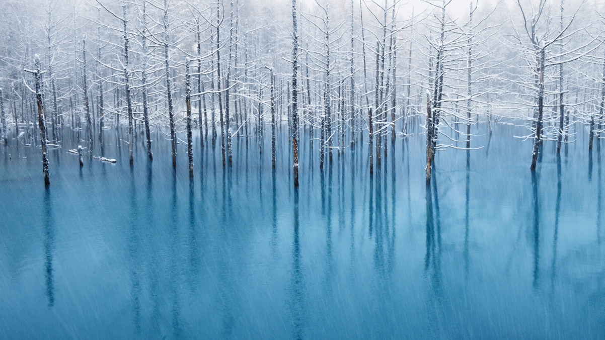 Blue pond winter landscape 4k wall