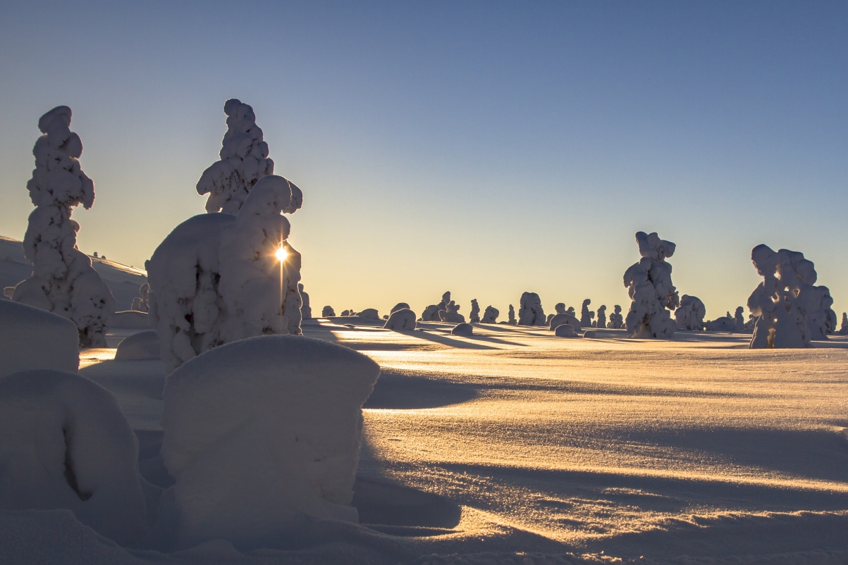 Lapland, winter, snow, Finland, snow