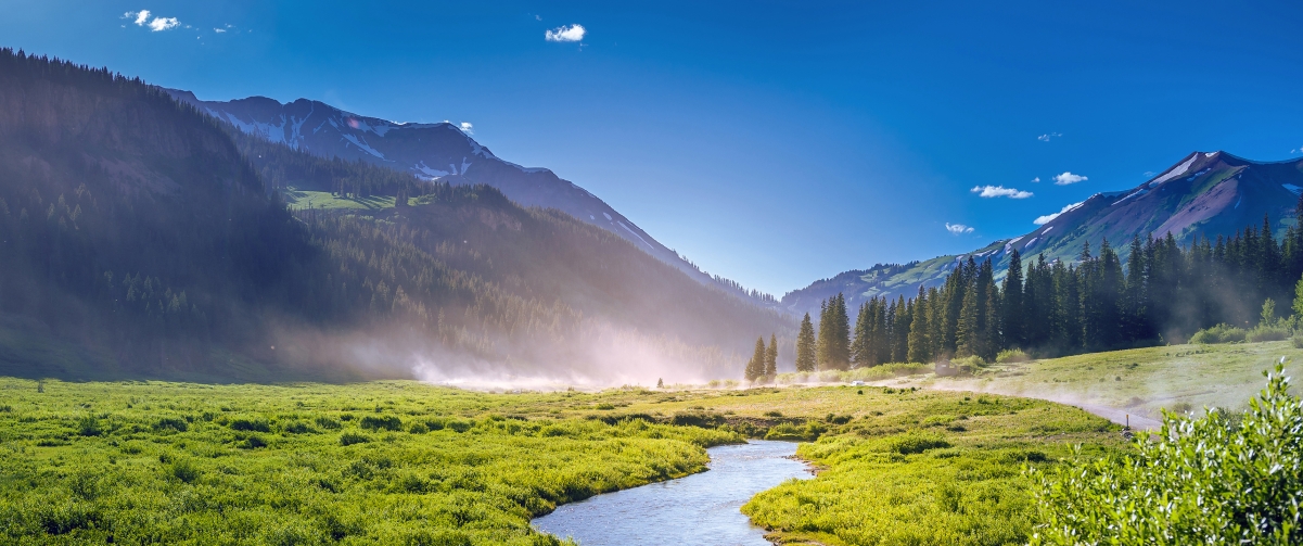 Colorado, green woods, lake, fog