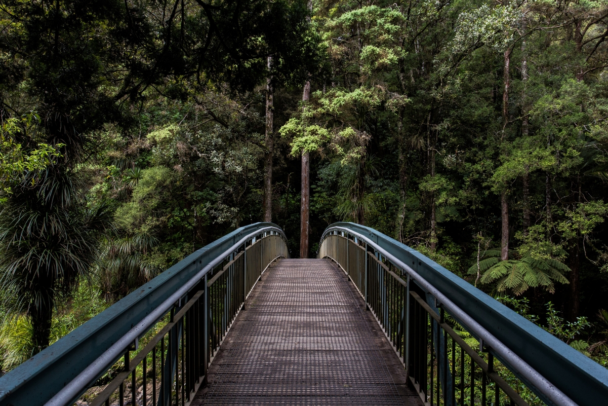 Capilano Suspension Bridge Park 4K Landscape
