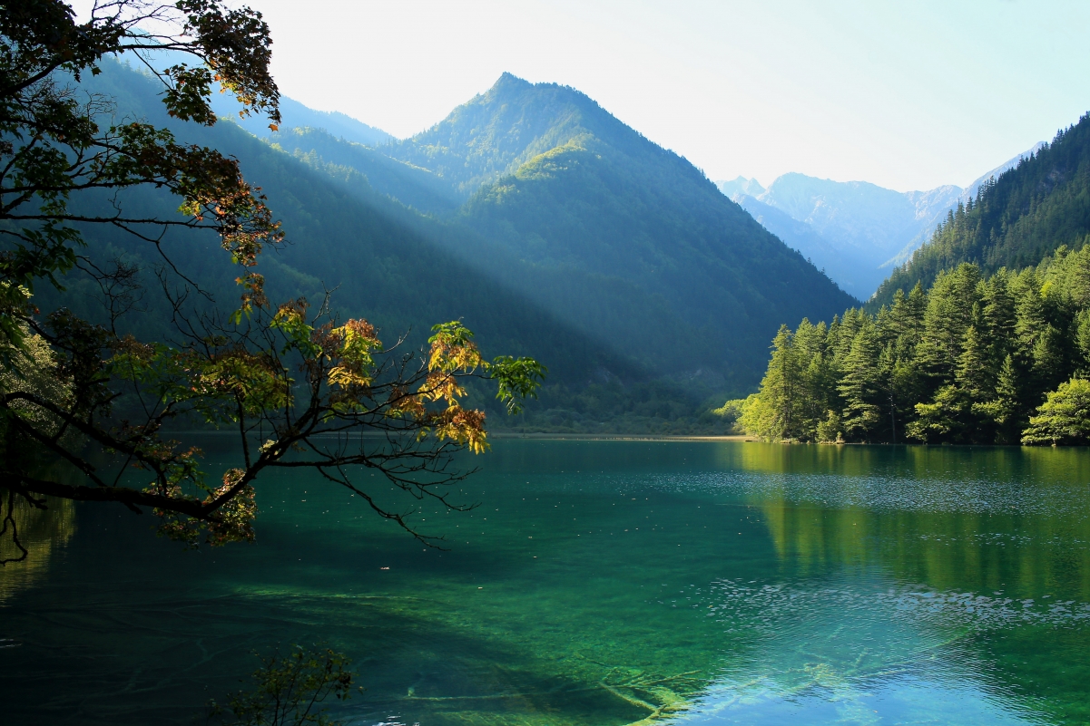 Jiuzhaigou natural scenery lake water woods