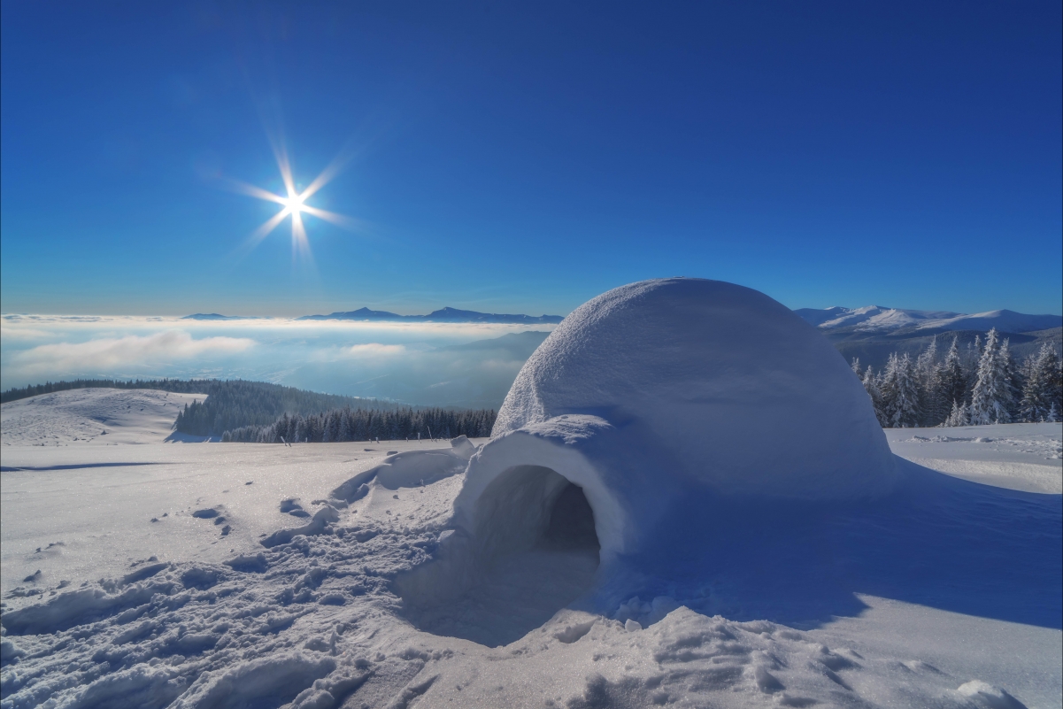 Landscape igloo woods sky too