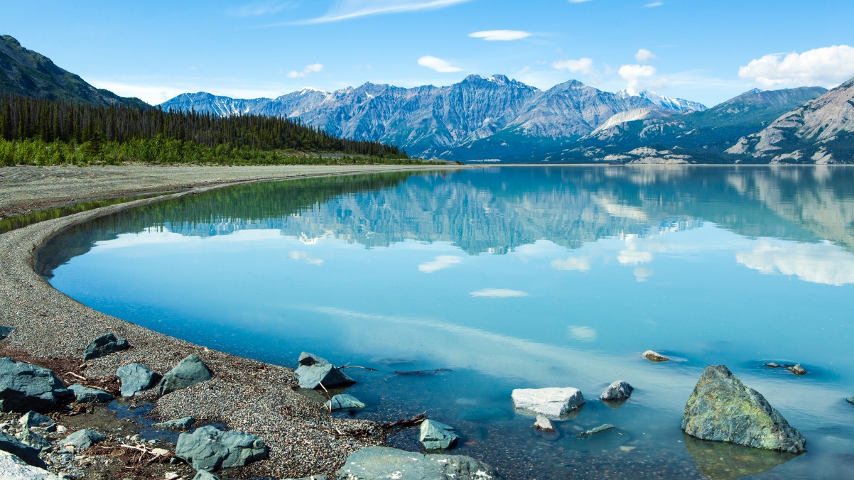 Canada Mountains Green Tree Lake 4K Wind