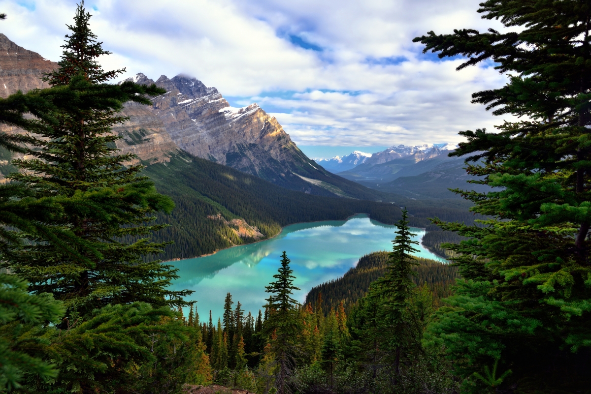Banff, Alberta, Canada, Peyto