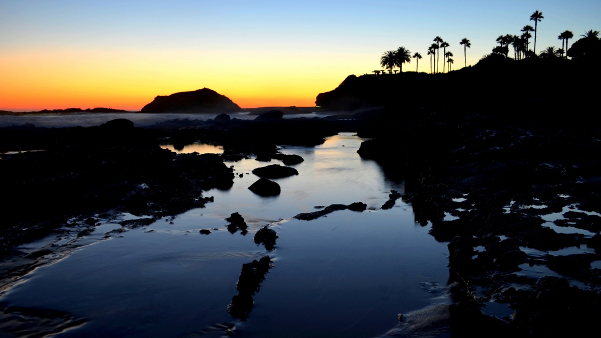 Laguna