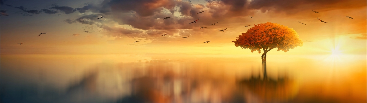 Twilight sunset sun water cloud sky