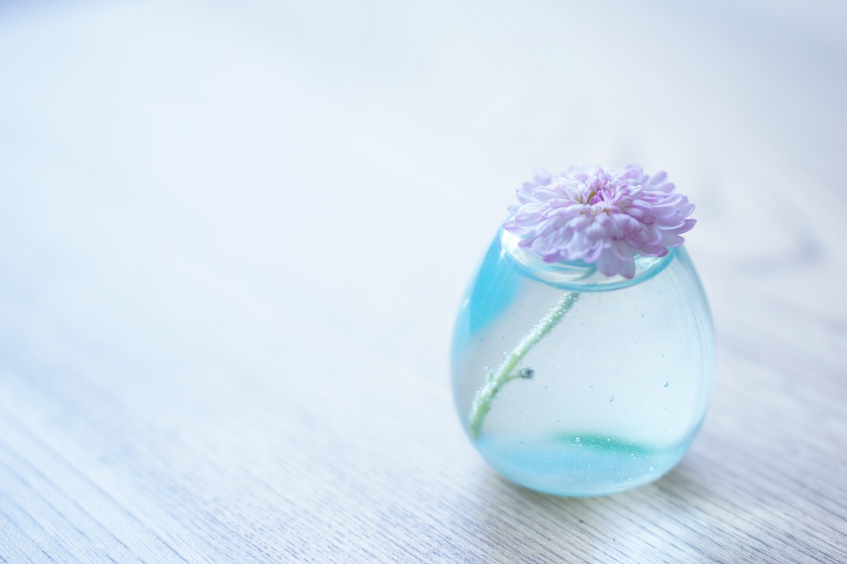 Vase, water, pink flowers, jane