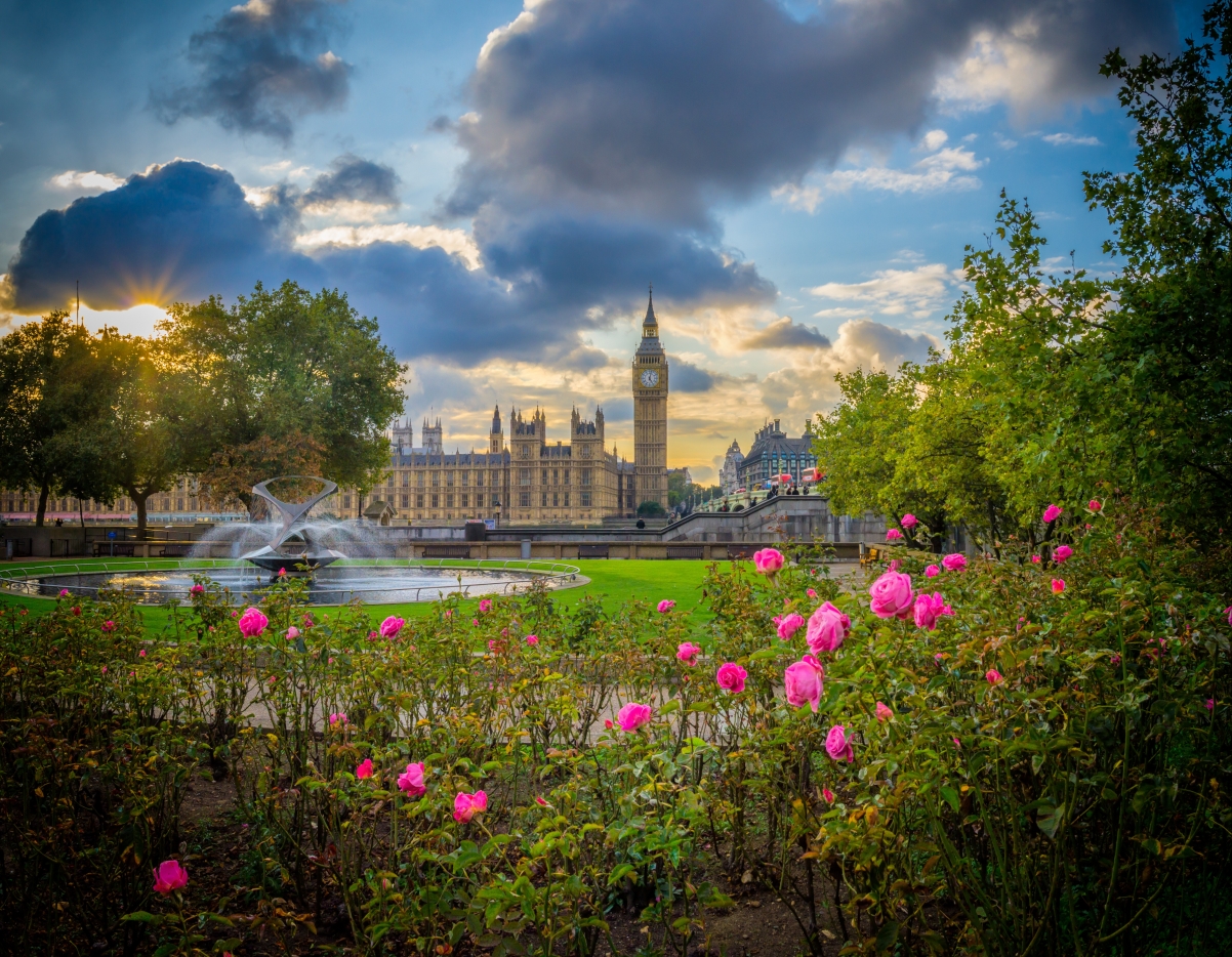 Flower Rose Park London, England