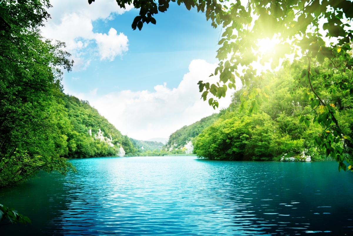 Lake, trees, deep forest, sea, sky