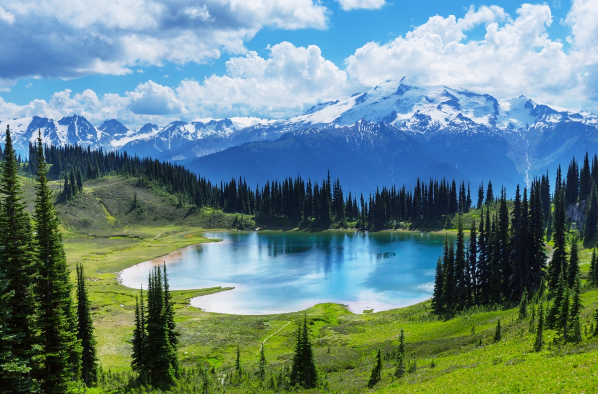 Lake, forest, landscape pictures