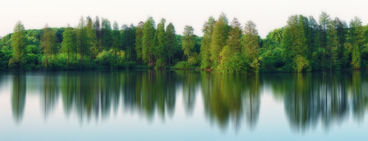 6k landscape pictures of the woods by the lake