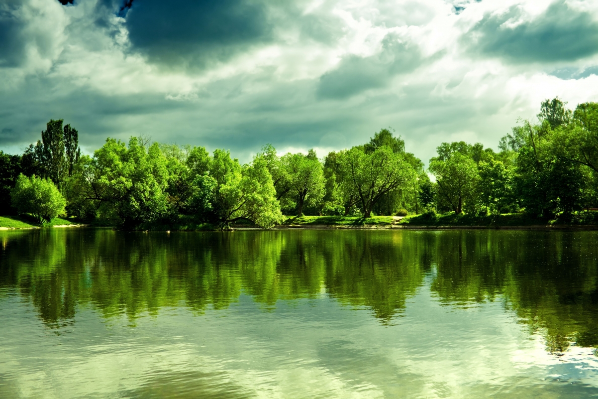 Lake, summer, trees, natural landscape illustration