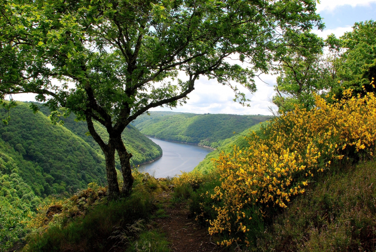 Rivers, hills,, shrubs, woods, fresh
