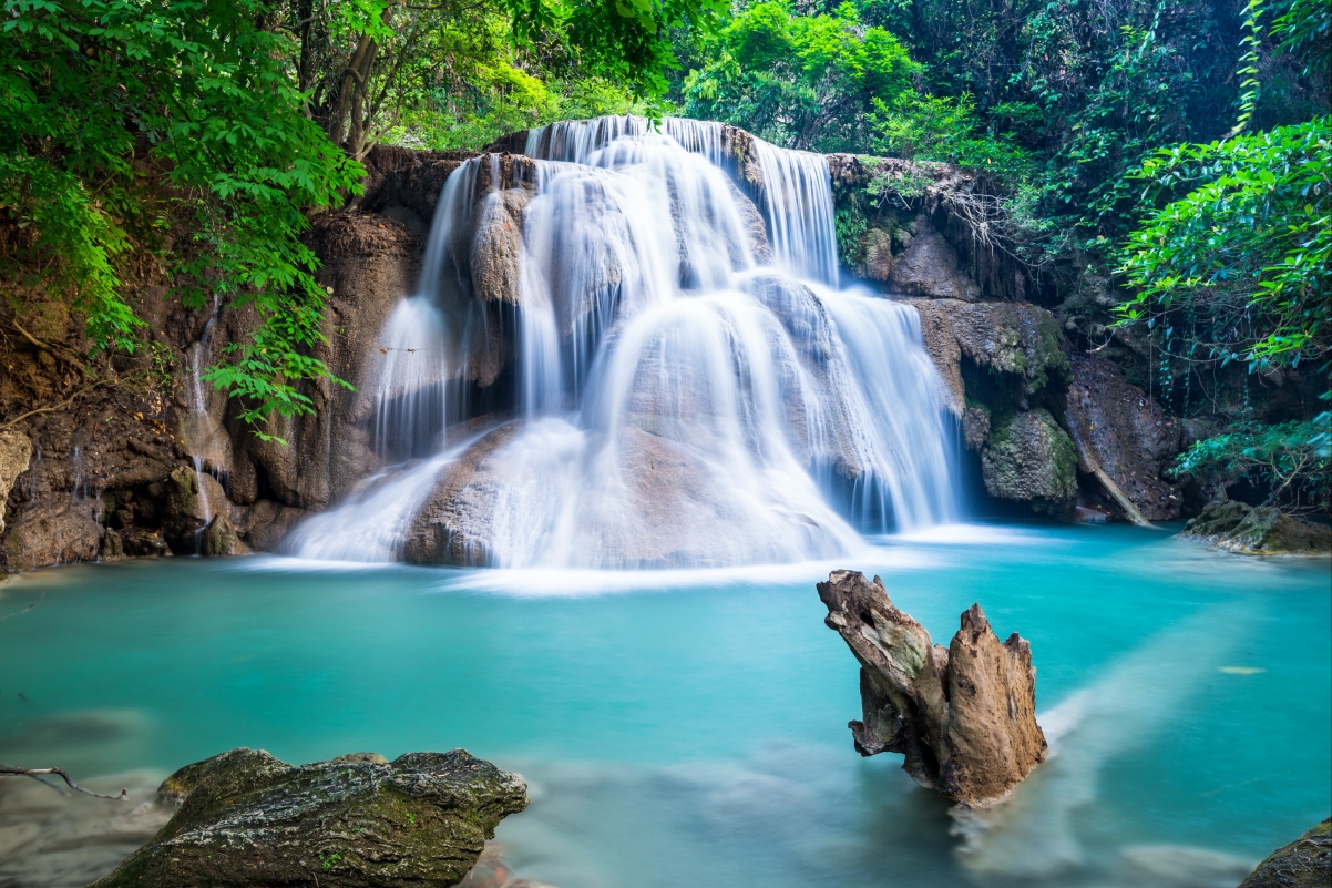 River Forest Waterfall Emerald 4K