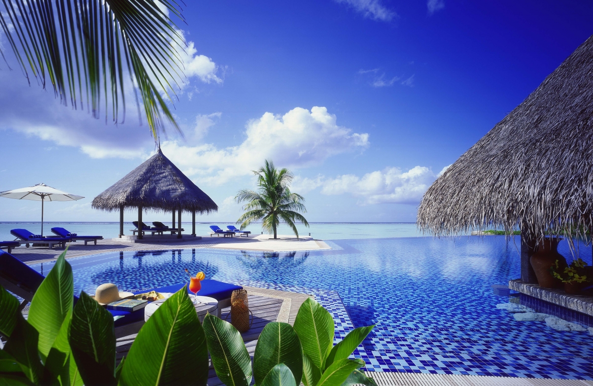 Ocean Palm Tree Bungalow Swimming Pool
