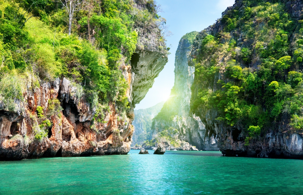 Ocean rocks sea water trees from
