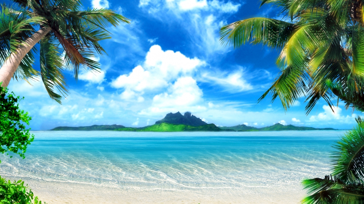 Ocean Island Coconut Sky 4K