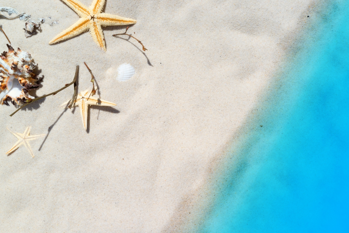 Beach holiday summer starfish big