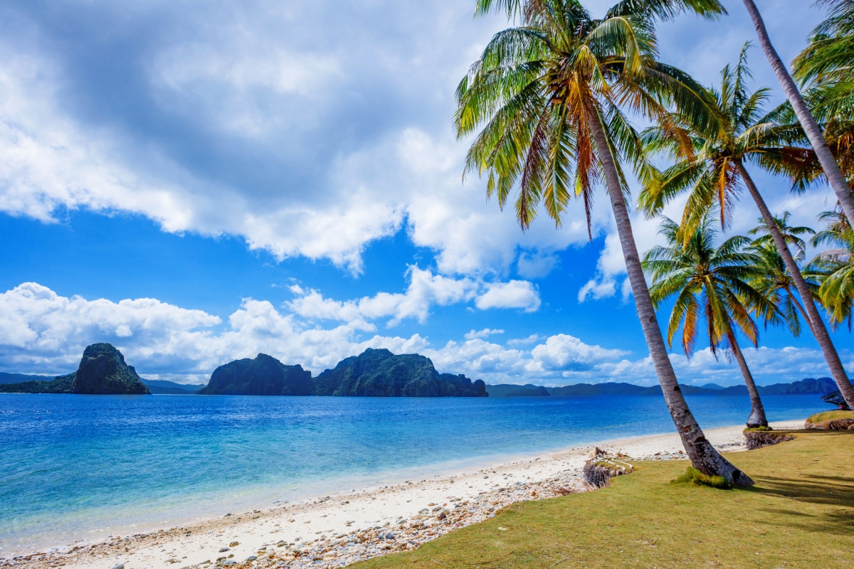 Sea water beach clouds tropical palm trees