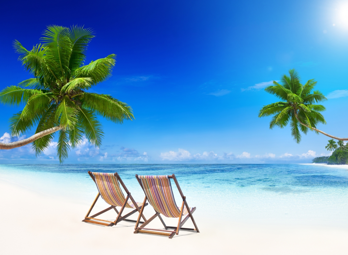 Coast, blue sea, emerald, palm