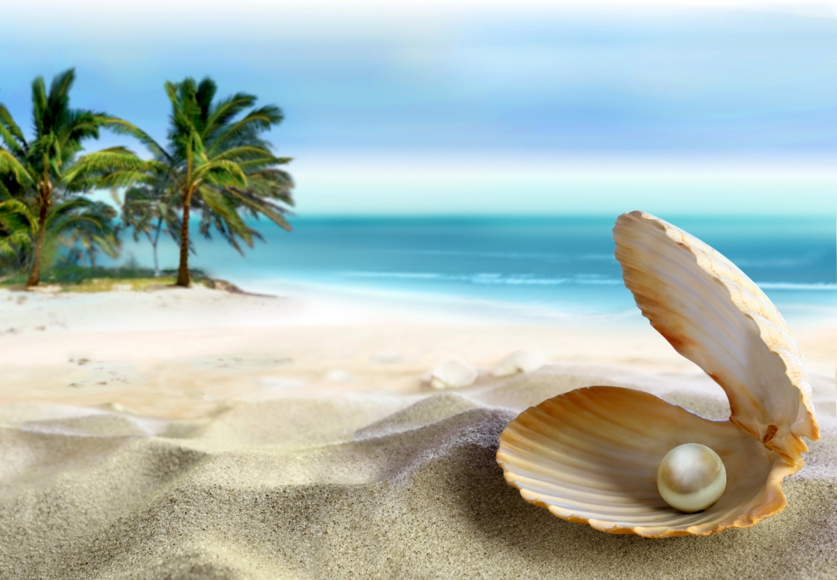 Coast, beach, sand, blue sky, big