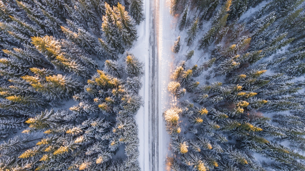 Overlooking the forest snow 4k landscape wallpaper